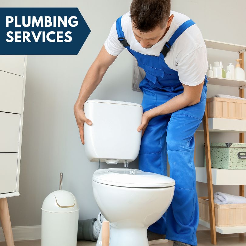 Plumbing Company in Ocklawaha, FL